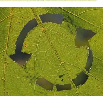 Circular,System,Symbol,On,A,Green,Vine,Leaf.,Recycling,,Sync