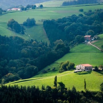 View,Of,The,Green,Meadows,And,Landa,Etxeas,De,Aia,